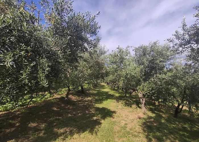 Apartman Villa Romana