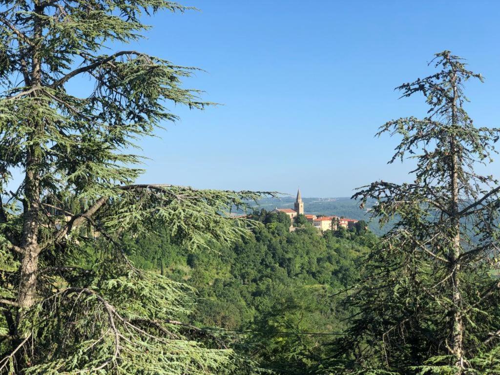 Romana