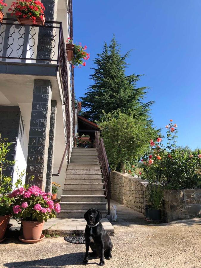Romana Apartment Grožnjan