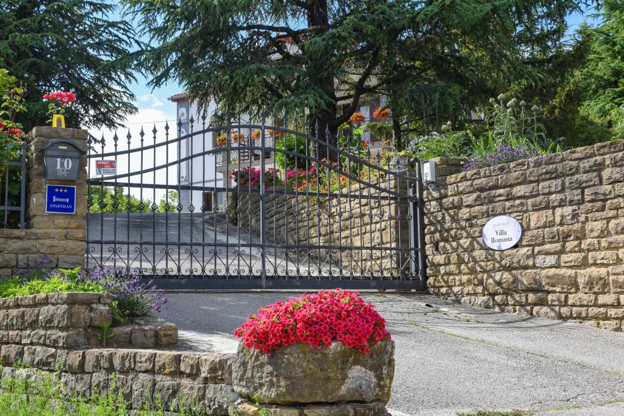 Apartment Romana